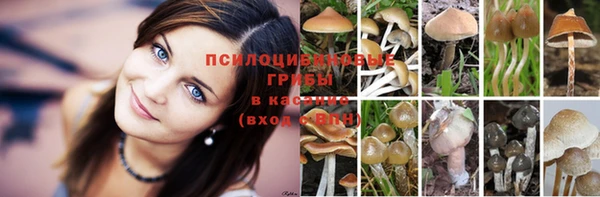 герыч Михайловск